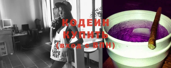 ГАЛЛЮЦИНОГЕННЫЕ ГРИБЫ Богданович