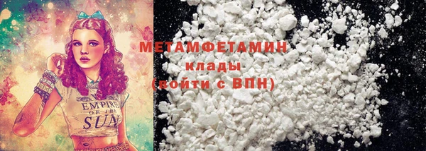 ГАЛЛЮЦИНОГЕННЫЕ ГРИБЫ Богданович