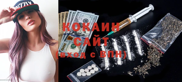 ГАЛЛЮЦИНОГЕННЫЕ ГРИБЫ Богданович