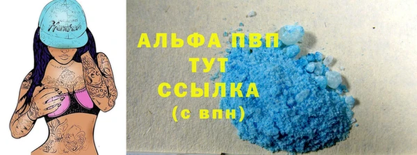 ГАЛЛЮЦИНОГЕННЫЕ ГРИБЫ Богданович